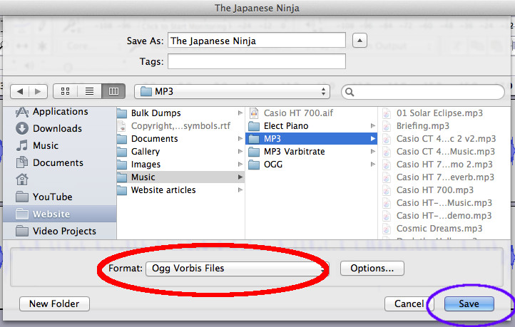 Screenshot showing saving an audio file