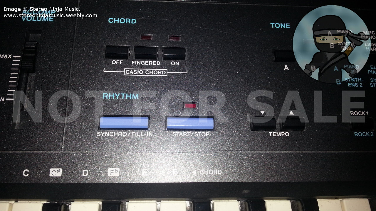 A close up image showing the Auto Accompaniment section on the MT-600